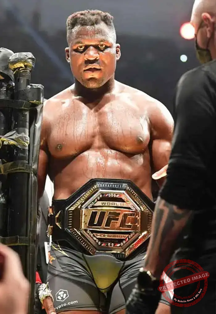 Home 48 Live sports IPTV Belgium 4K